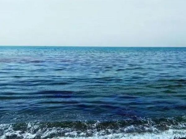日本核廢水將排海-影響何以估量？